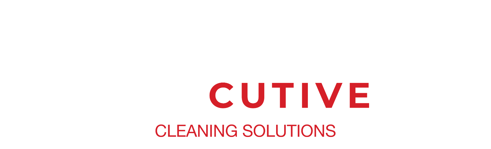 Executive Cleaning Solutions Logo